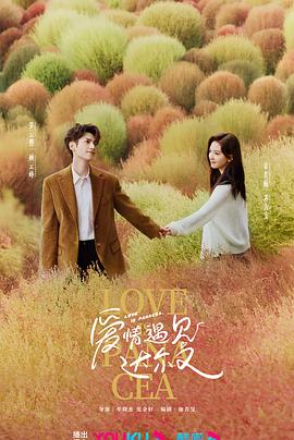 廊坊seo智能优化